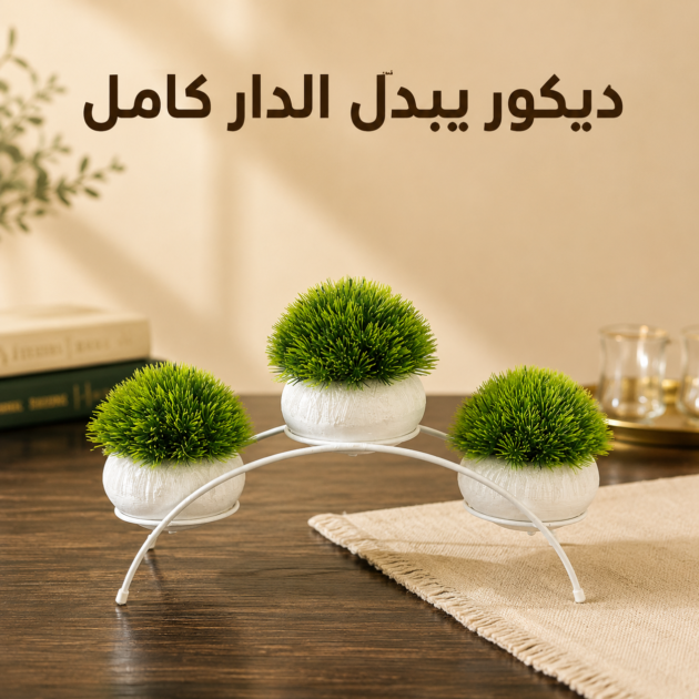 مزهريات الديكور
